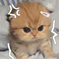 T/g