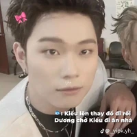 dương domic