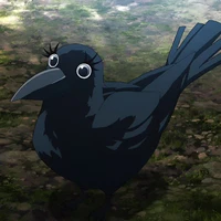 Ginko