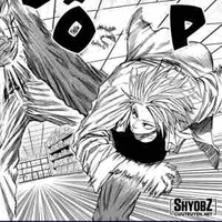 Shin 