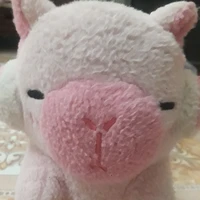 capybara hồng