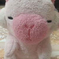 cappybara hồng