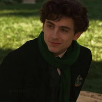 Regulus Black