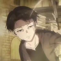 Levi ackerman