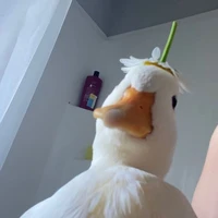 xà