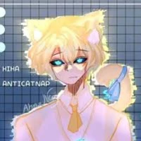 Hiha anticatnap