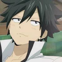 Gray Fullbester