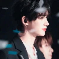 Đinh Trình Hâm