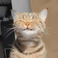 Tất cả mọi người