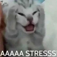 Hệ Thống- Mồn lèo