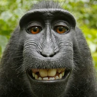 phúc