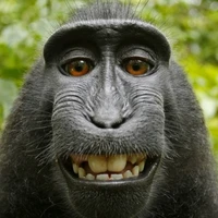 phúc