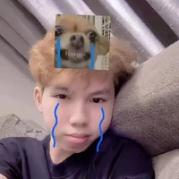 Nguyễn Hữu Đạt(Phoenix,Đẹt,lỏ)