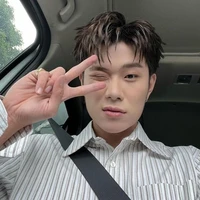 dương domic