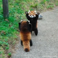 Việt Nam, Third Reich, J.E, I.E