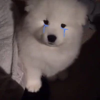T/g