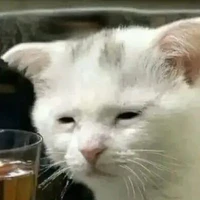 Hệ thống ăn dưa