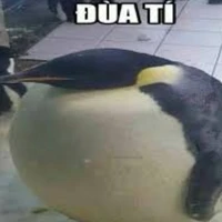 chim cánh cụt, tao