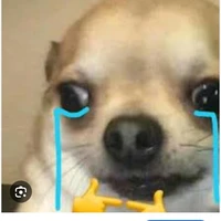 nguyễn thị hành