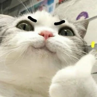 con t/g simp Na (t/g cute)