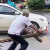 All (trừ ai thì trừ)