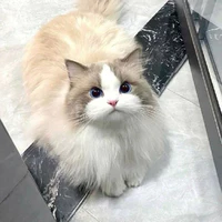 mia