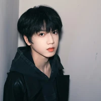 Trương Quế Nguyên ( n)