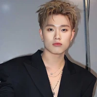 dương domic