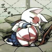 cô mèo cute ❤❤