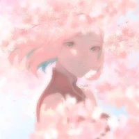 Haruno Sakura