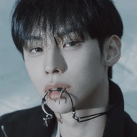 Song jaewon