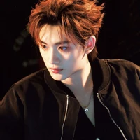 ĐINH TRÌNH HÂM(cậu)