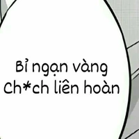 Nvp nữ