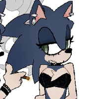 Sonic the hegehog