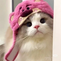 tgia cuteeee