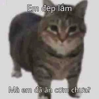 tác giả