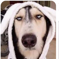 tác giả sigma