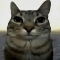 all-[đố mi bít mị là ai >:)]