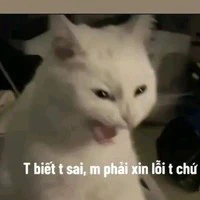 Cả hai
