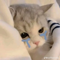 t/g bị khùng