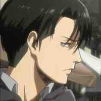 Levi