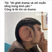 t/g siêu mê meomeo