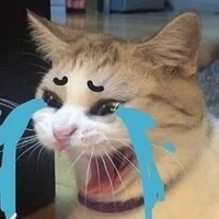 cả lớp