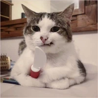 tất cả bọn báo