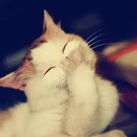 tác giả kiên quả