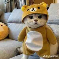 tác giả cute hột me