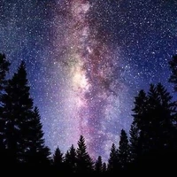 tất cả mn (- những người cần trừ)