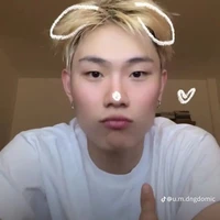 dương domic