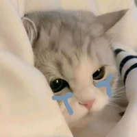 Tác giả hướng tào lao 😒