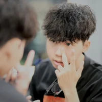 Hữu Đạt / phượng hoàng lỏ